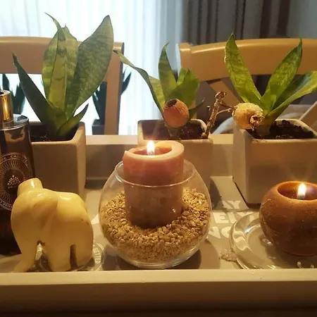 Апартаменты Antakalnis